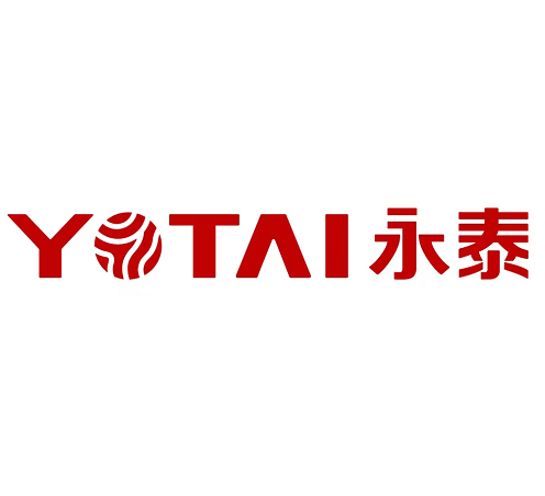 深圳永泰数能 Logo