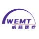 威脉医疗 Logo