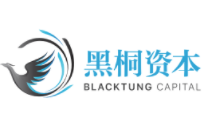 黑桐资本 Logo