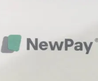 NewPay_null_亿欧数据