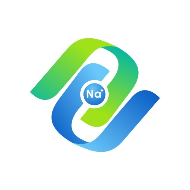 中钠时代 Logo