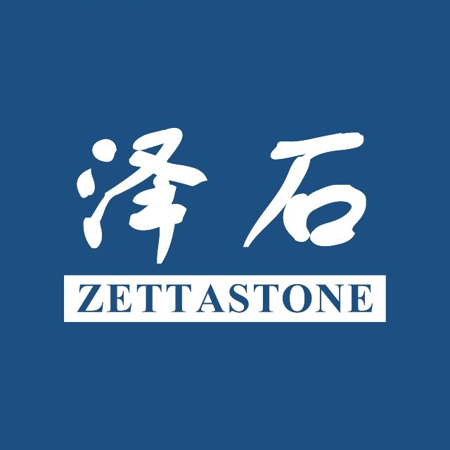 泽石科技 Logo
