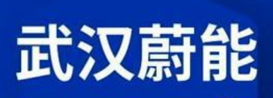 蔚能电池 Logo
